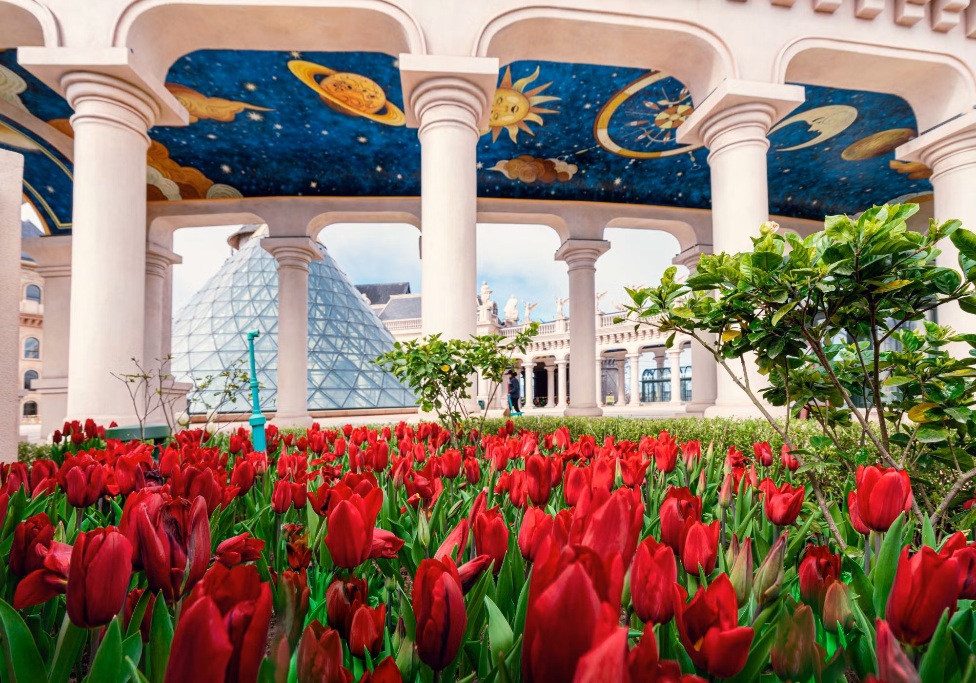 Hàng nghìn du khách đón Tết Bính Ngọ cùng hơn triệu bông tulip tại Sun World Ba Na Hills -0
