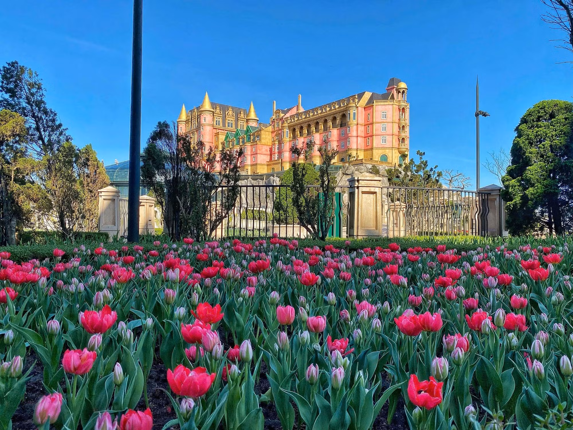 Hàng nghìn du khách đón Tết Bính Ngọ cùng hơn triệu bông tulip tại Sun World Ba Na Hills -0