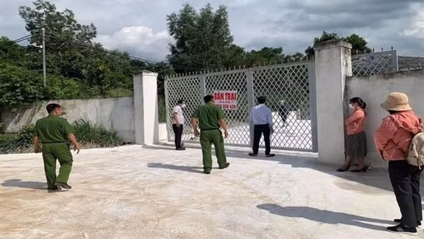 Yêu cầu 328 trang trại nuôi lợn tạm ngừng nuôi gia công cho 4 doanh nghiệp
