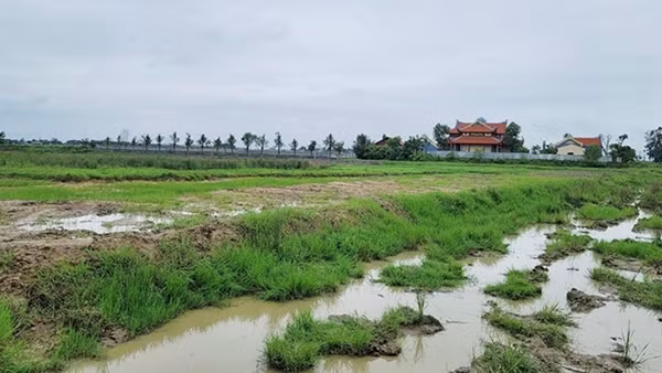 Ngang nhiên bao chiếm đất nông nghiệp của 18 hộ dân