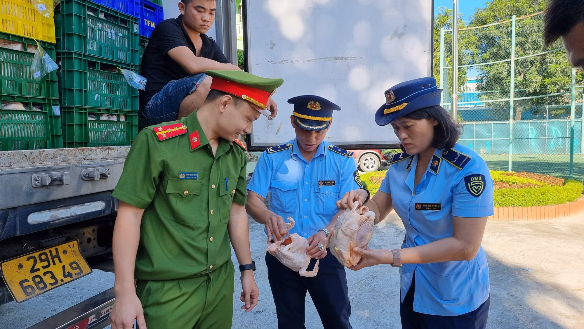 Phát hiện hơn 10 tấn gà đông lạnh không rõ nguồn gốc xuất xứ -0