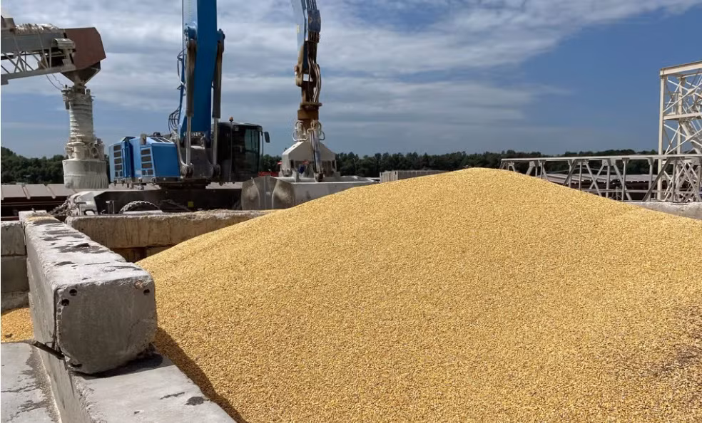 Ngũ cốc Ukraine - Liều thuốc thử cực mạnh cho EU -0
