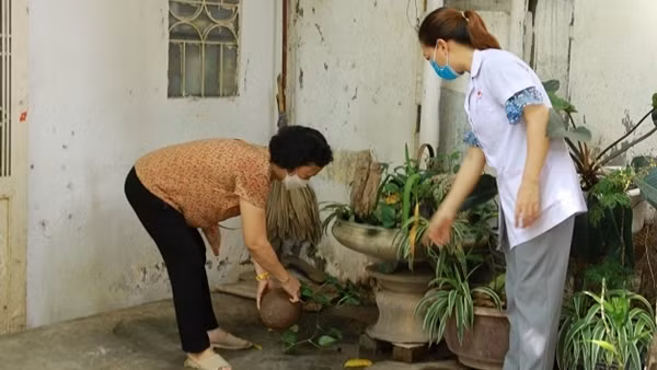 Hà Nội thêm 95 ổ dịch sốt xuất huyết trong 1 tuần