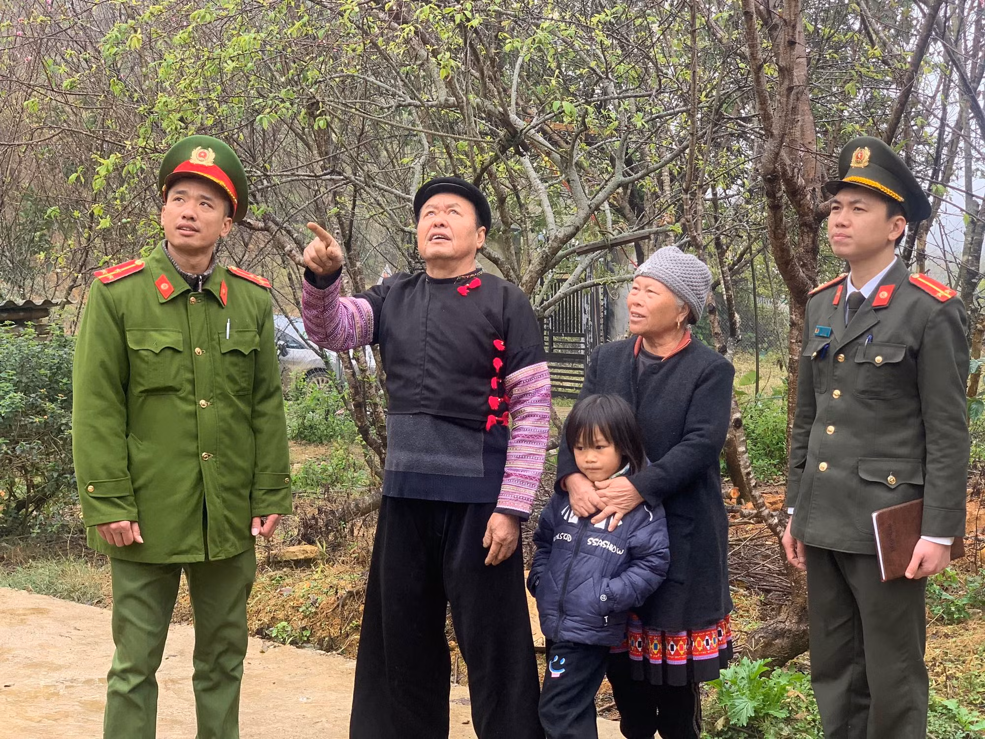 Cây Sa Mu giữa đại ngàn -0