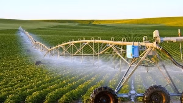 Để dự án khởi nghiệp xanh ra thị trường thế giới