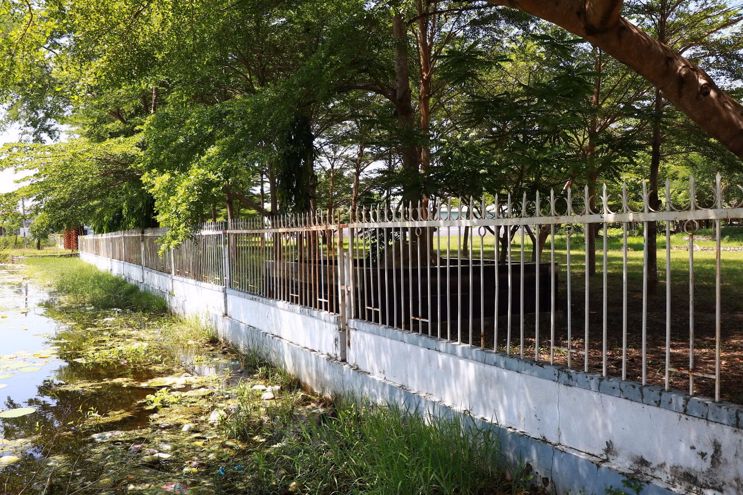 Nhừng hoạt động 4 năm, một dự án ở Ninh Thuận bị kiến nghị chấm dứt -1