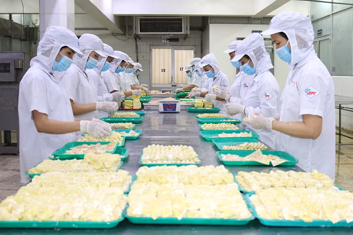 Doanh nghiệp lưu ý chứng nhận xuất xứ hàng hóa khi xuất khẩu vào EU -0