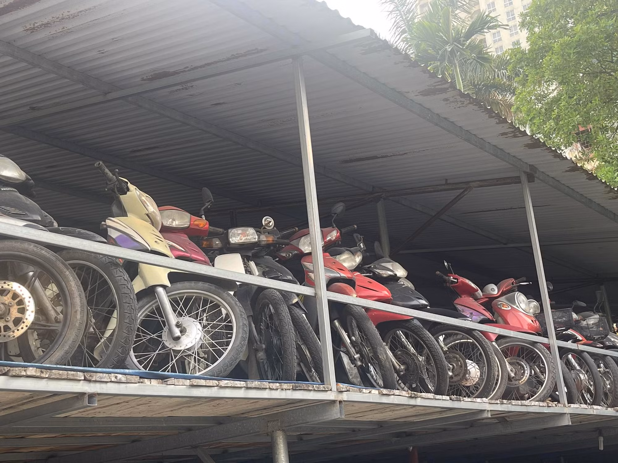 Cần sớm xử lý 