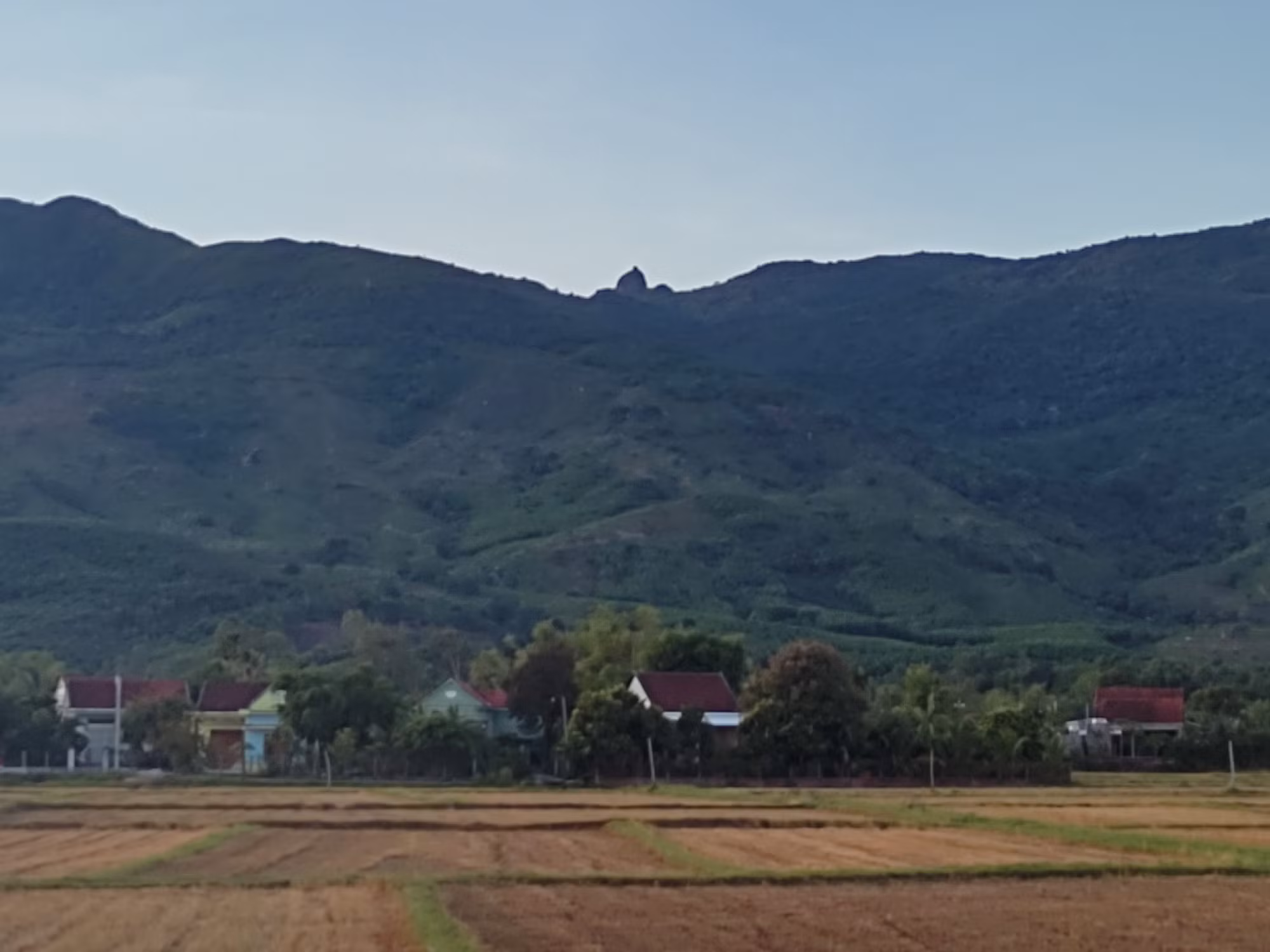 “Đánh thức”… tháp Hòn Chuông -0