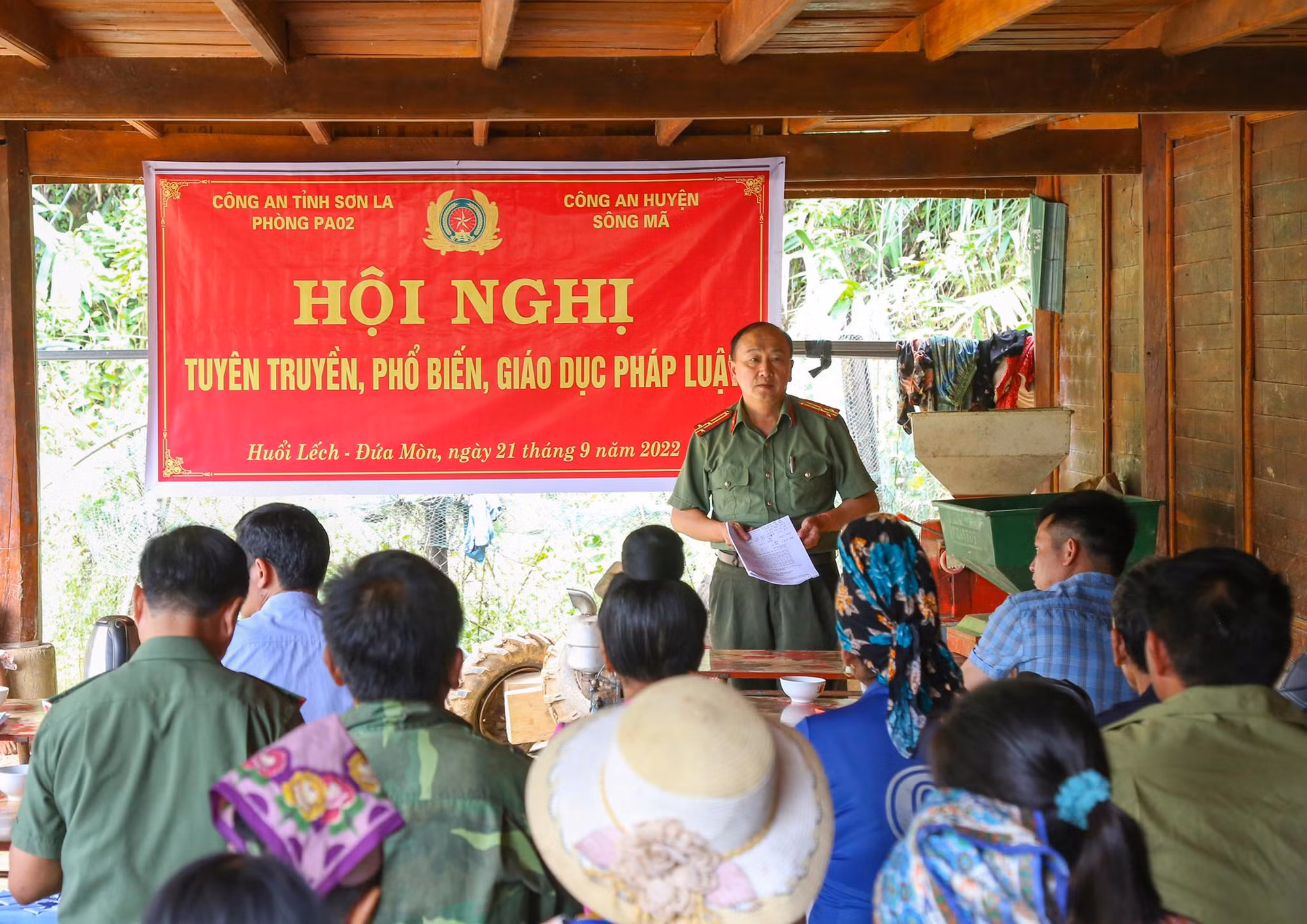 Cây Sa Mu giữa đại ngàn -0