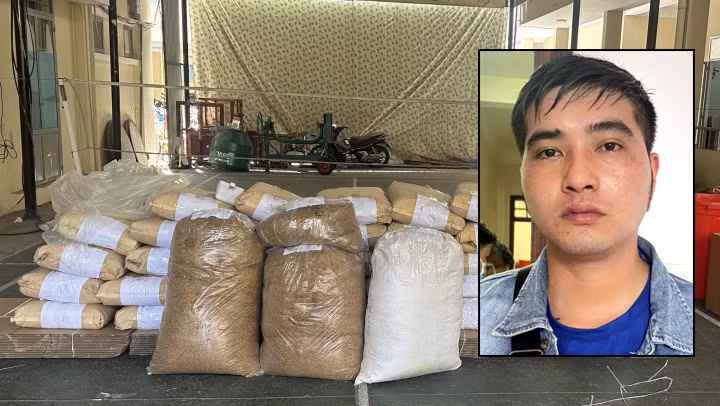 Đột kích "xưởng” chế biến, thu giữ gần 7 tạ thảo dược nghi cỏ Mỹ