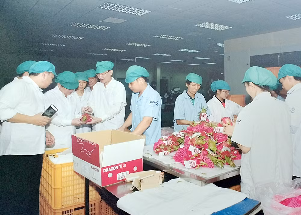 nong san.jpg -0