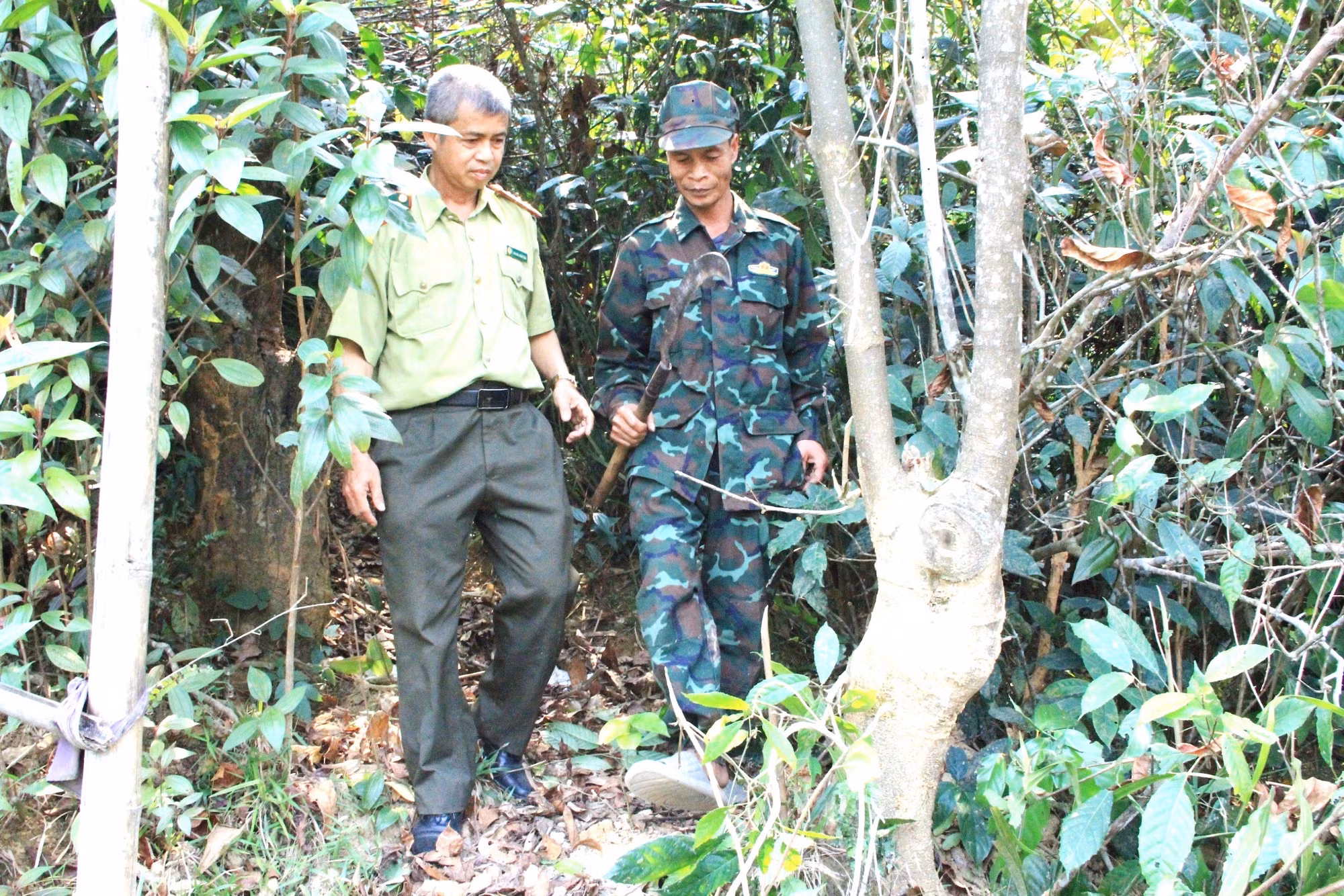 THUC_TINH-1748568893000.jpg