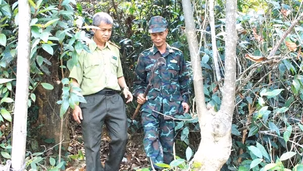 Những người trở về giữa màu xanh của đại ngàn Trường Sơn