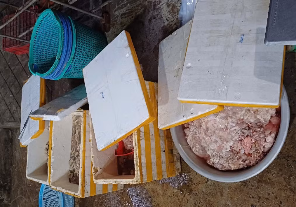 Tên Công ty C.P Việt Nam được in trên bao bì chứa hàng tấn lòng, thịt không rõ nguồn gốc tại Đà Nẵng -0