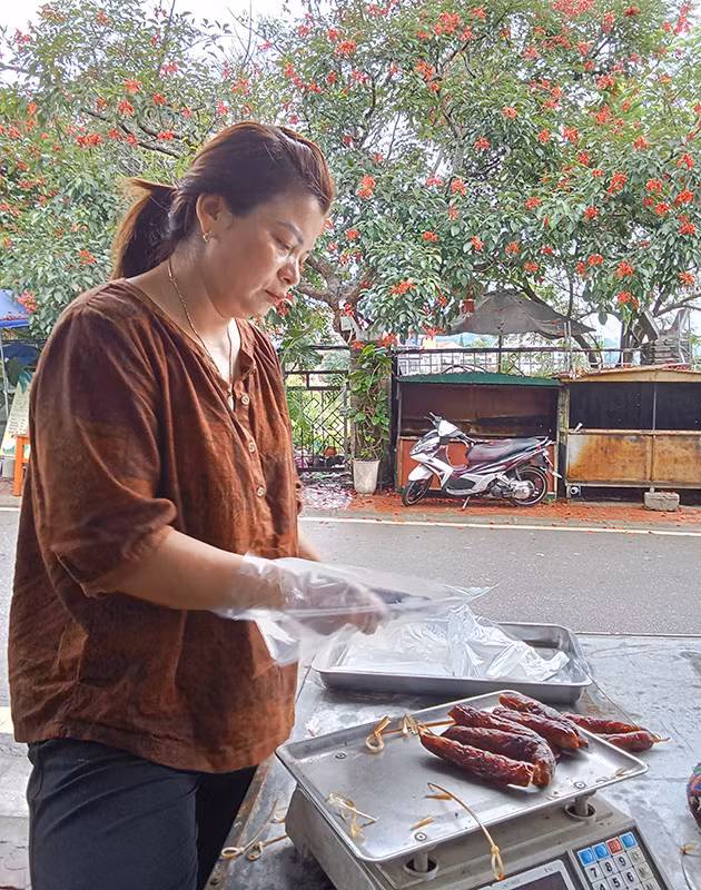 Hoa Osaka đỏ cao nguyên trắng -1