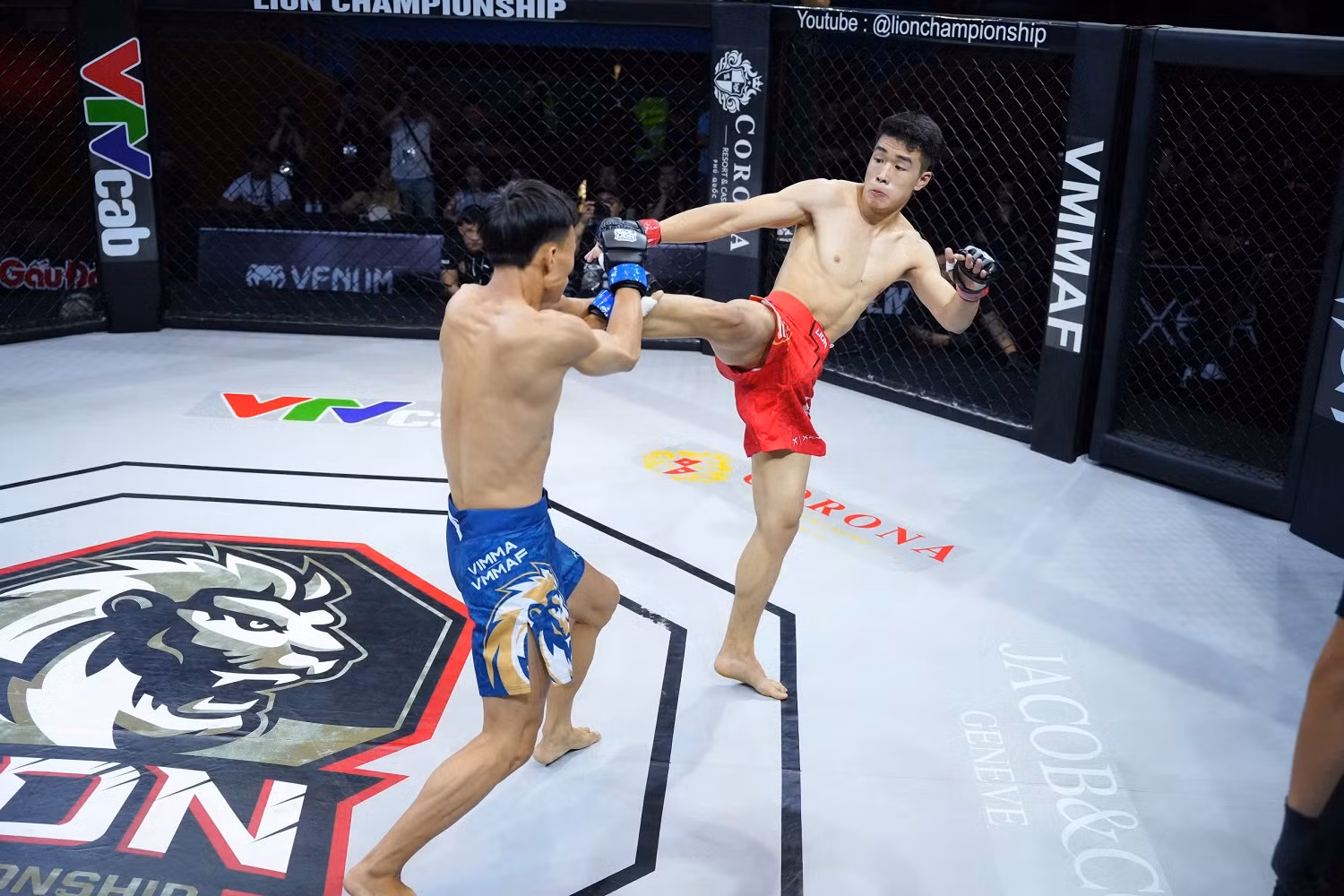 Đưa đưa MMA vào hệ thống thi đấu quốc gia -0