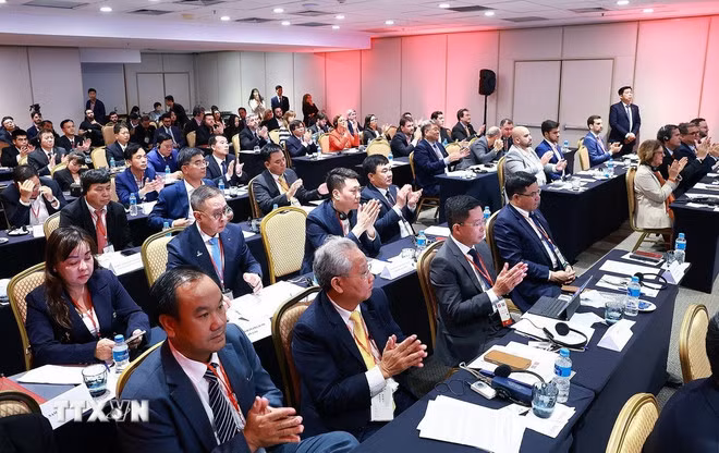 Đối tác Chiến lược Việt Nam-Brazil: 