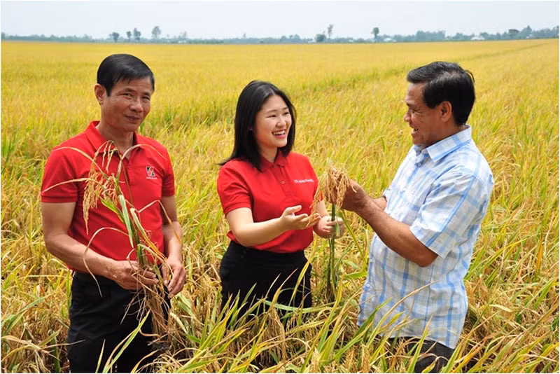 Agribank ký kết quy chế phối hợp triển khai cho vay liên kết lúa gạo chất lượng cao, phát thải thấp vùng Đồng bằng sông Cửu Long -0