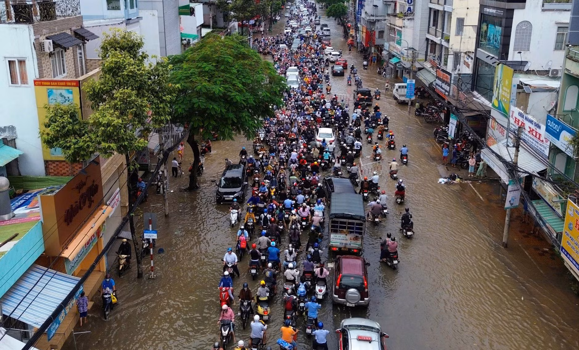 Vì sao Chủ tịch TP Cần Thơ treo thưởng 