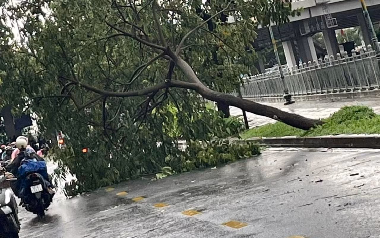 Tôn bay, cây ngã, đường ngập nước trong cơn mưa dông kèm sấm sét ở TP Hồ Chí Minh -0