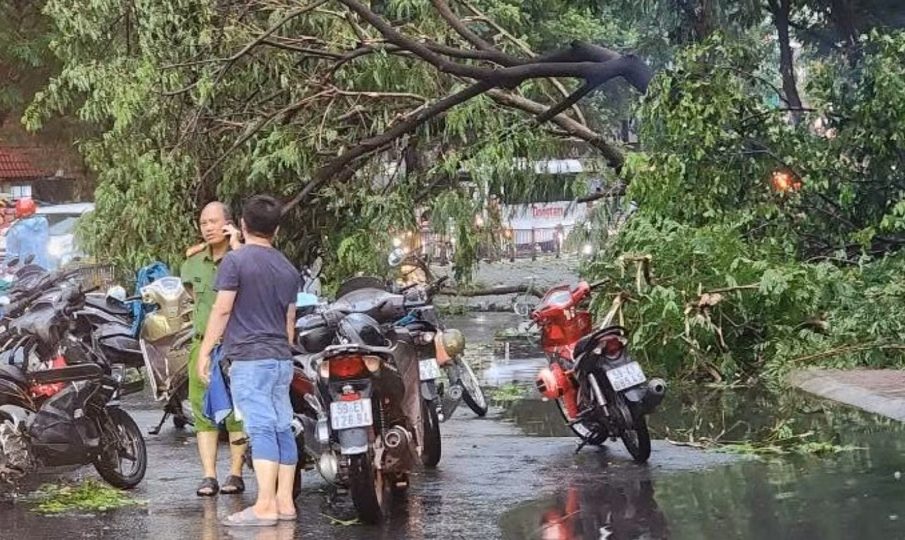 Tôn bay, cây ngã, đường ngập nước trong cơn mưa dông kèm sấm sét ở TP Hồ Chí Minh -1