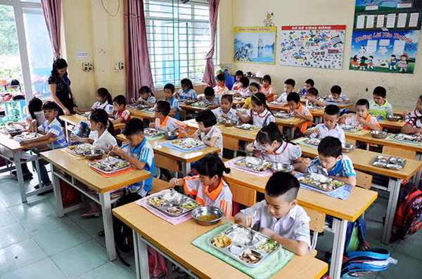 Hà Nội yêu cầu kiểm tra, xử lý hiệu trưởng vi phạm sau tin '”rau trôi nổi phù phép” -0