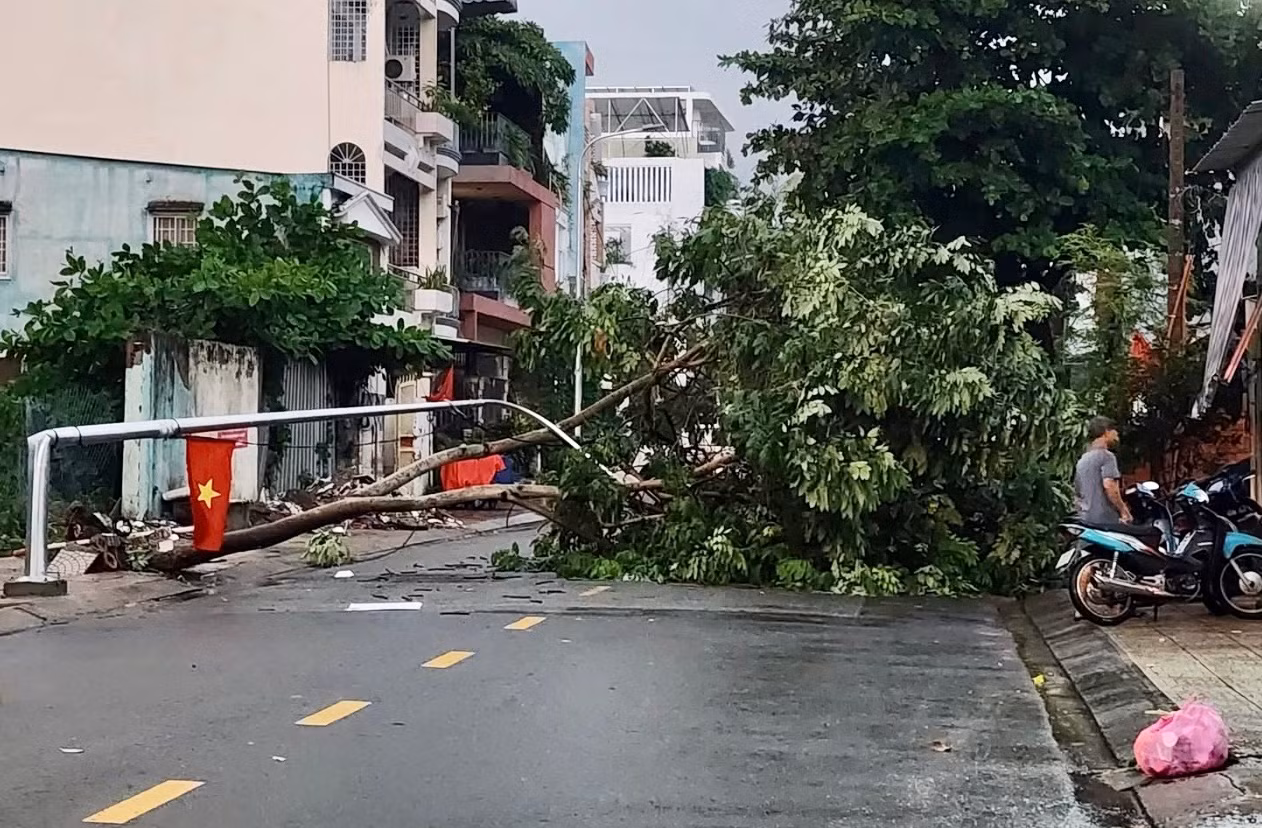 Tôn bay, cây ngã, đường ngập nước trong cơn mưa dông kèm sấm sét ở TP Hồ Chí Minh -2