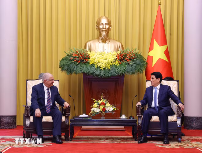 Chủ tịch nước: Việt Nam mong muốn đưa quan hệ với Thổ Nhĩ Kỳ lên tầm cao mới -0
