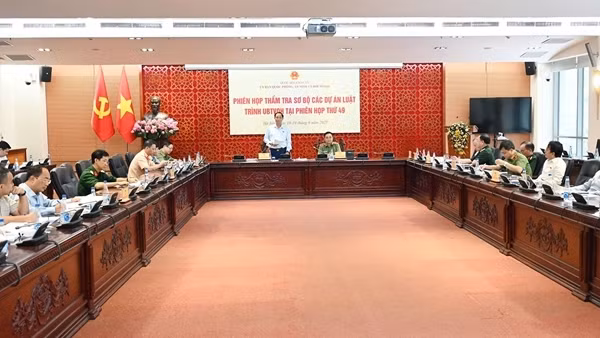 Thẩm tra sơ bộ 10 luật liên quan đến an ninh, trật tự nhằm đáp ứng yêu cầu cấp bách của thực tiễn