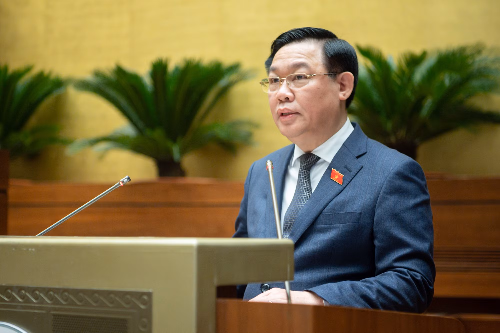Hoạt động 