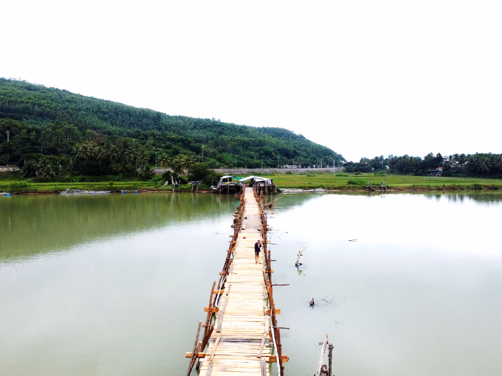  Dựng lại cầu gỗ Ông Cọp dài nhất Việt Nam -0