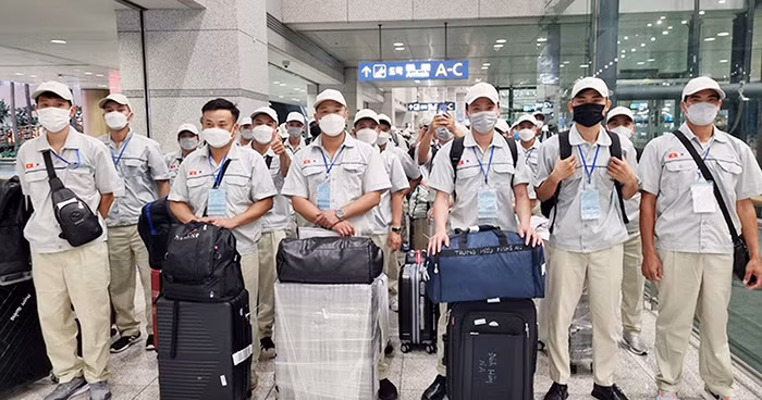 Hơn 142 nghìn lao động Việt Nam ra nước ngoài làm việc năm 2022 -0