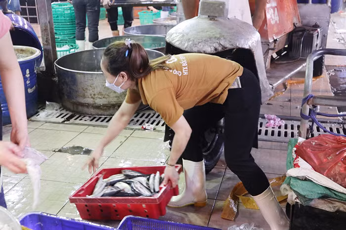 Những người không về Tết -0