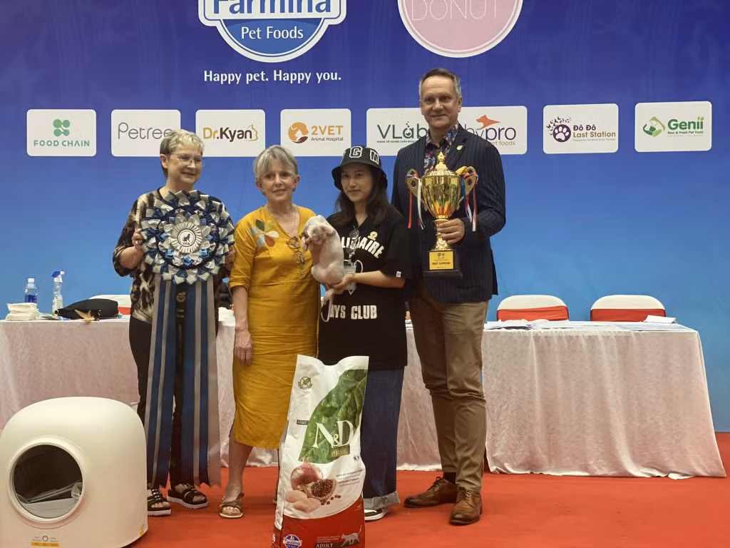 T44-Thú vị đi tìm 