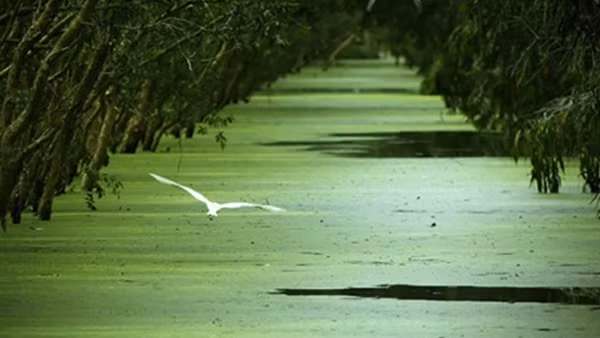 Hệ giá trị được phái sinh từ tư duy của nhà đầu tư
