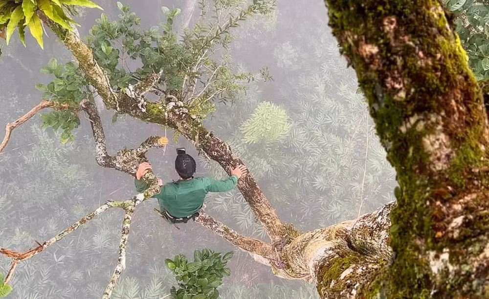 Săn Tết miệt rừng_ANTG_TET_T32 -0