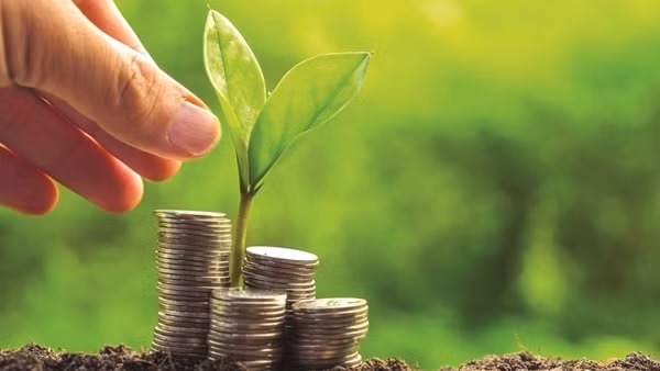 Doanh nghiệp đầu tư khoảng 9 tỷ USD vào tăng trưởng xanh tại Việt Nam