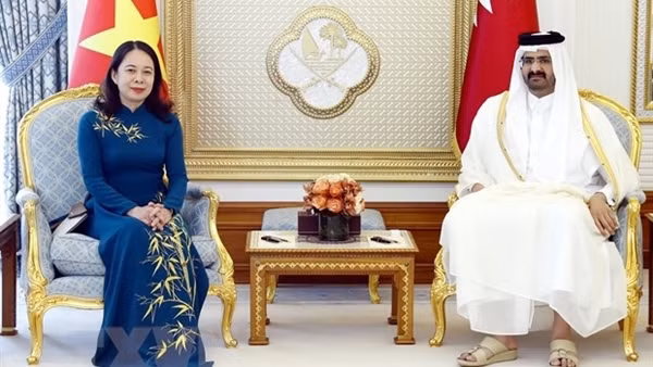 Phó Chủ tịch nước Võ Thị Ánh Xuân hội đàm với Phó Quốc vương Qatar