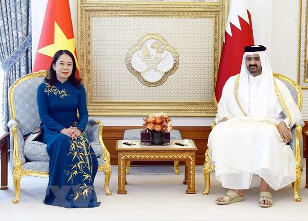 Phó Chủ tịch nước Võ Thị Ánh Xuân hội đàm với Phó Quốc vương Qatar -0