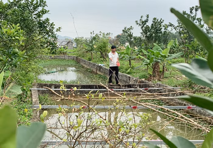 “Trợ lực” để khôi phục và phát triển kinh tế ở Hà Nam -0