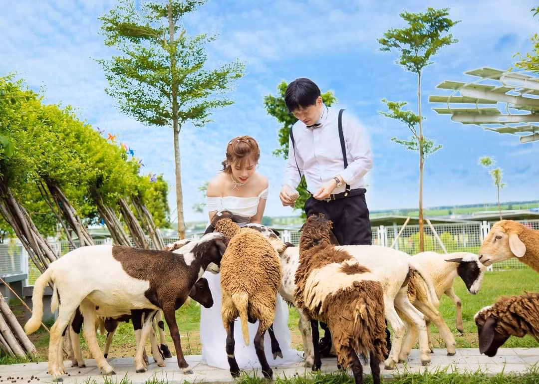 Điều chưa biết về địa điểm chụp ảnh cưới “hút” khách ở An Giang -0