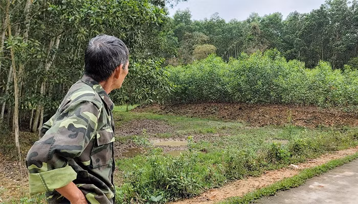 Hệ lụy từ việc liều cắt đất bán cho dân -0