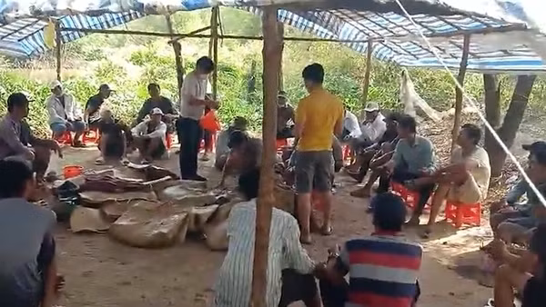 Triệt xóa trường gà giữa rừng đước, tạm giữ 170 triệu đồng