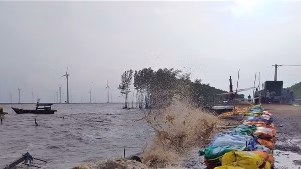 Công bố tình huống khẩn cấp sự cố sạt lở đê biển Đông tại Bạc Liêu
