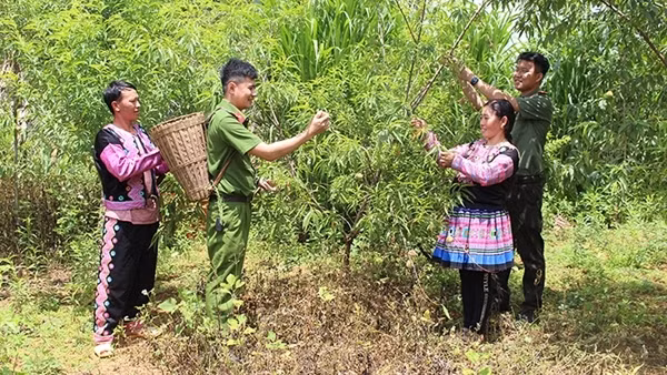 Nỗ lực chuyển hóa địa bàn phức tạp về an ninh trật tự