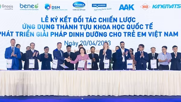 Giải đáp chất lượng lợi nhuận qua các chỉ số tài chính của Vinamilk