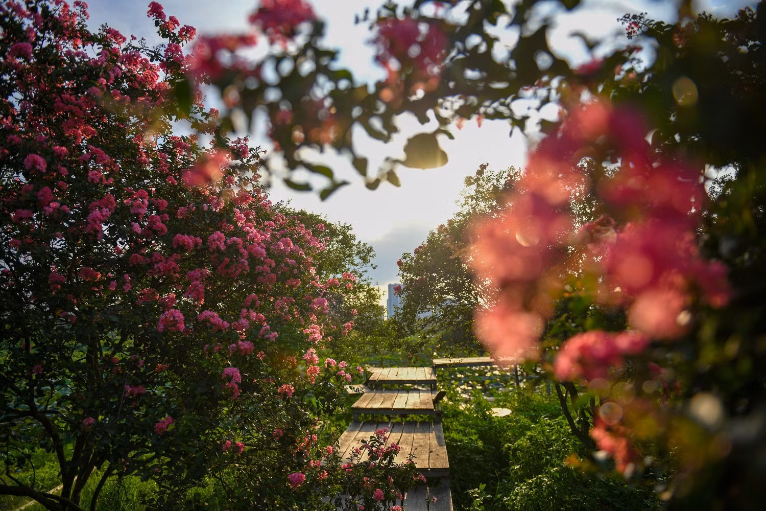 7.jpg -0