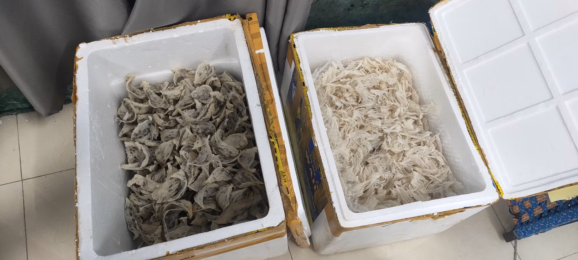 Quảng Ngãi: Nuôi ong tay áo -0