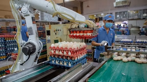 Thúc đẩy chuyển đổi số trong ngành sản xuất